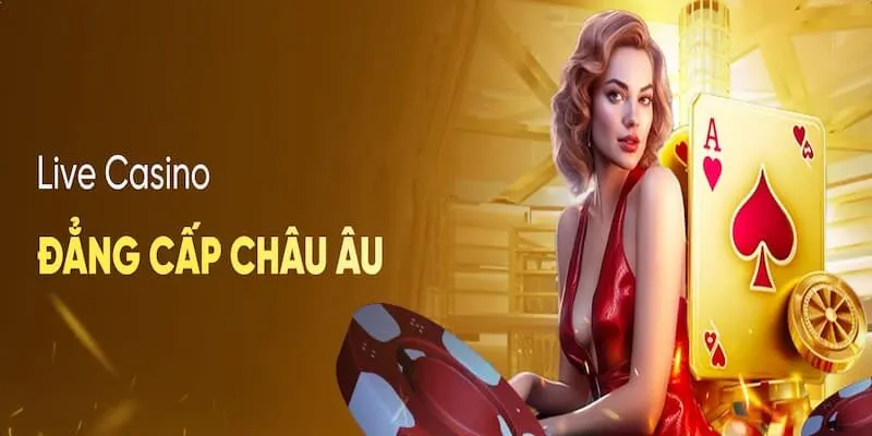 Thông tin tổng quan về nền tảng Casino sky88